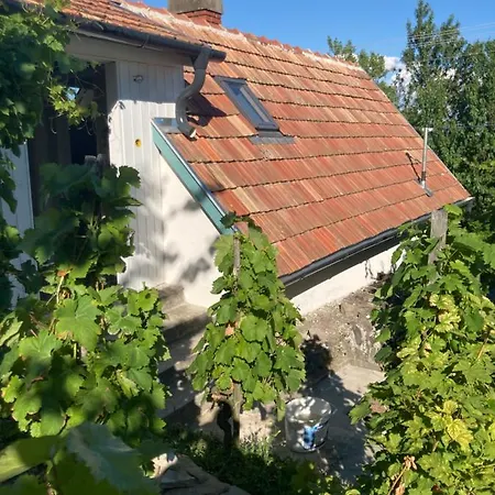 Διαμέρισμα Vince Pince Haz Balatongyörök