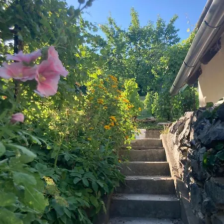 Διαμέρισμα Vince Pince Haz