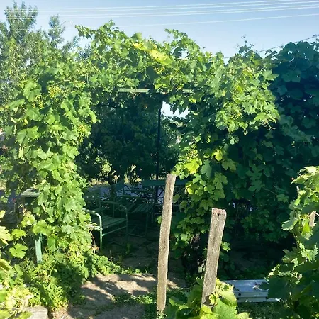 Vince Pince Haz Διαμέρισμα