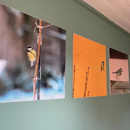 Vince Pince Haz Apartman *