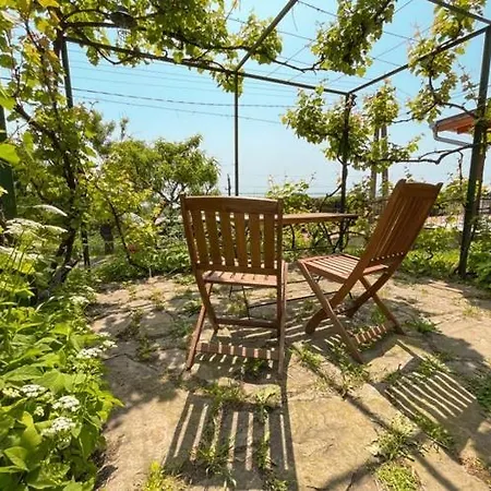 Vince Pince Haz Appartement