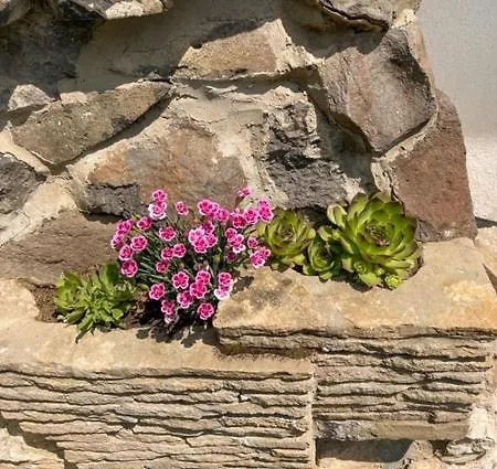 Vince Pince Haz Διαμέρισμα