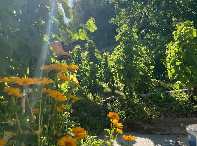 Vince Pince Haz Balatongyörök