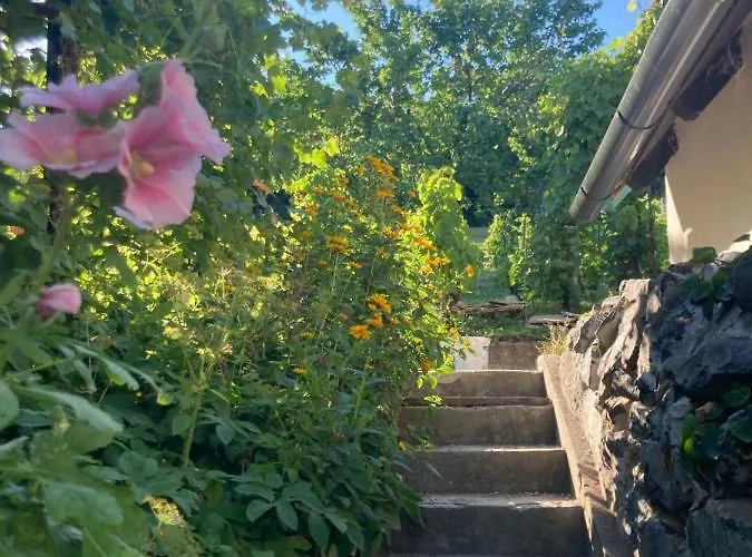 דירה Vince Pince Haz