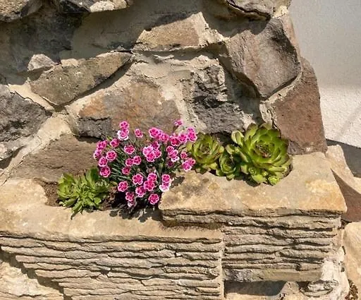 Vince Pince Haz דירה