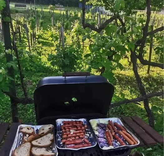 Lejlighed Vince Pince Haz